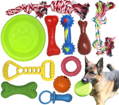 Chew Toy Natural Rubber chew Toy for Interactive Play Toy Ball Rope Rubber Value Set for Small to Medium Breed Dog mutt Puppy (Multicolour)
