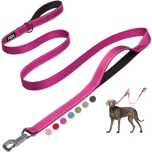 Heavy Duty Dog Leash for Medium Large Dogs (6 Feet (Pack of 1) / Rose)
