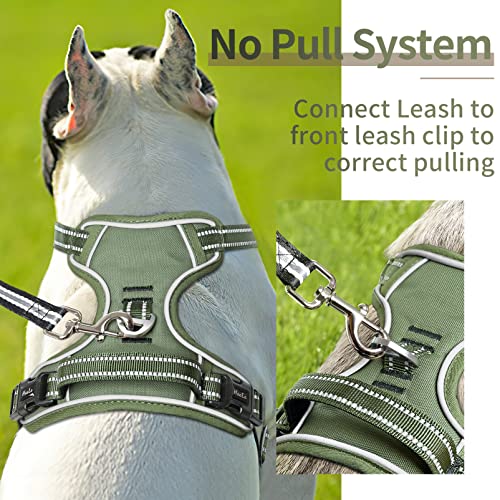 Dog Harness Dog Harness for Small Medium Large Dogs No Pull Adjustable Padded Reflective Harness with Handle for Walking Training (XS / Green)