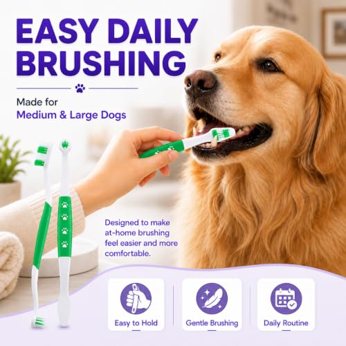 Dog Toothbrush (Green / 1 Count (Pack of 6))