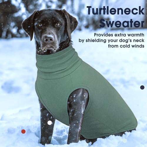XL Dog Sweater (X-Large / Green)