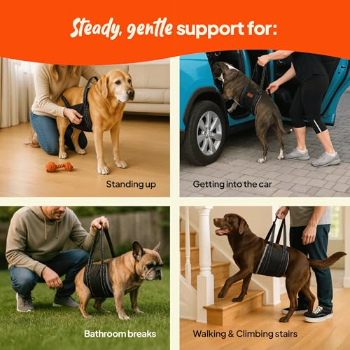 Dog Lifting Harness (M)
