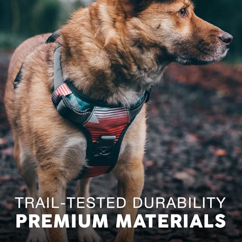 Embark No Pull Dog Harness (M / Santa Monica)