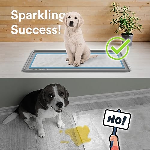 Pee Pad Tray Holder for Dogs (Large / Gray)