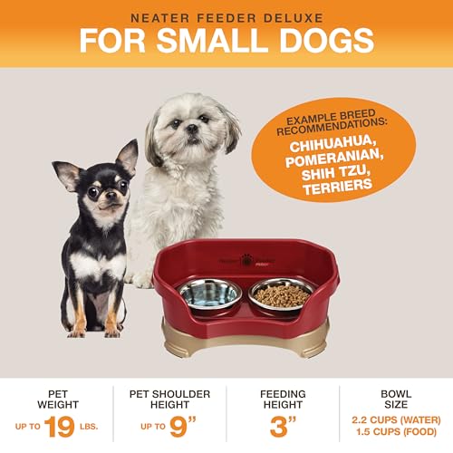 Neater Feeder Deluxe Mess Proof Dog Bowls Elevated for Small Dogs Under 19 lbs (Small with Standard Bowl / Cranberry)