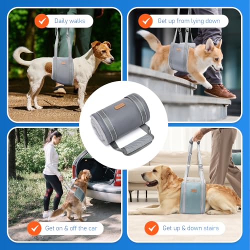 Dog Lift Harness for Large Dogs Adjustable Dog Sling for Back Legs (Grey / Large)