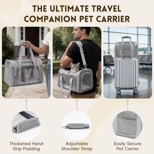 Cat Carrier Soft (Gray / 17.0"L x 11.0"W x 11.0"H)