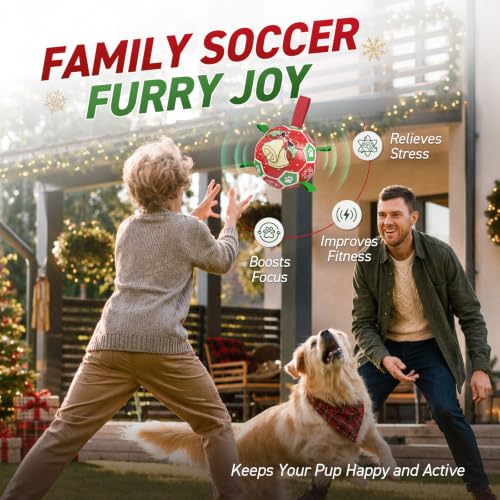 Christmas Dog Balls with Straps (Christmas 2 / 8 Inch)