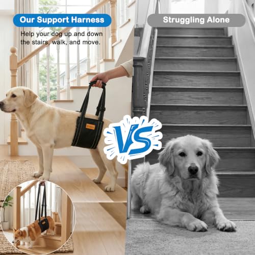 Large Dog Rear Support Sling (L)