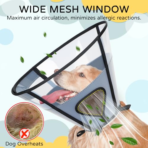 Soft Dog Cone Collar for Large Dogs (Black / L)