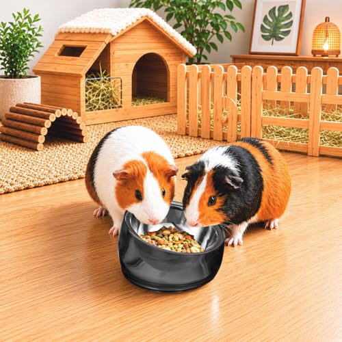 Oblik 15° Tilted Small Animal Bowls for Pet Food & Water 6 oz Stainless Steel Dish Removable (Smoky / Mini Pet)