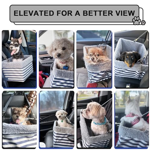 Dog Car Seats for Small Dogs (Large - Up to 20 lbs / Stripe)