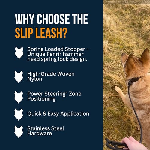 Slip Leash 1.4m Professional Dog Training Lead to Stop Pulling (Brown)