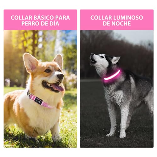 Light up Dog Collar (Pink / L(19 inch-23.6 inch))