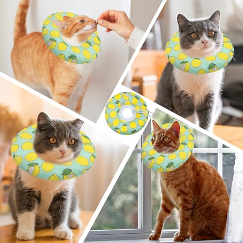Cat Cone Collar Soft (Green Lemon / Large)