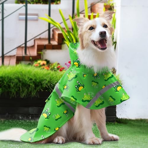 Large Dog Raincoat (X-Large / Green Frog)