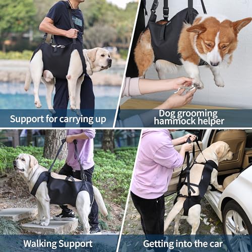 Dog Lift Harness (M)