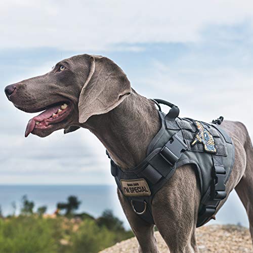 Tactical Dog Harness Vest No (Small / Grey)
