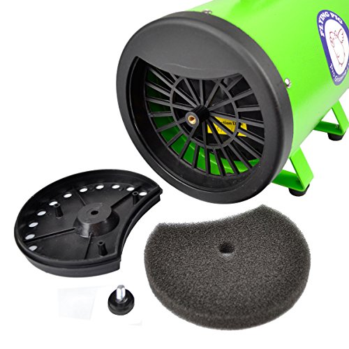 Flying Pig High Velocity Dog Pet Grooming Dryer w (Green)