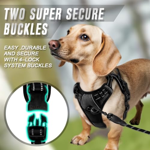Dog Harness No Pull for Small Sized Dog Front Back Clips (X-Small(Chest:15.5-19.5”) / Black)