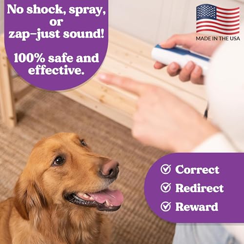 Doggie Don’t Anti Barking Device for Dogs (Purple, Rechargeable Battery)