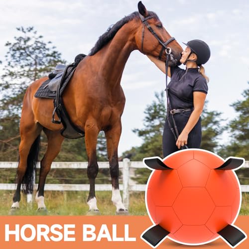 Herding Ball for Dogs (Herding Ball / 25 Inch)