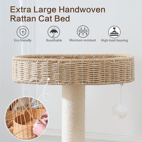 48in Natural Wood Cat Tree for Large Cats (48IN)