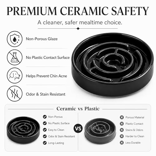 Ceramic Slow Feeder Dog Bowl (Black)