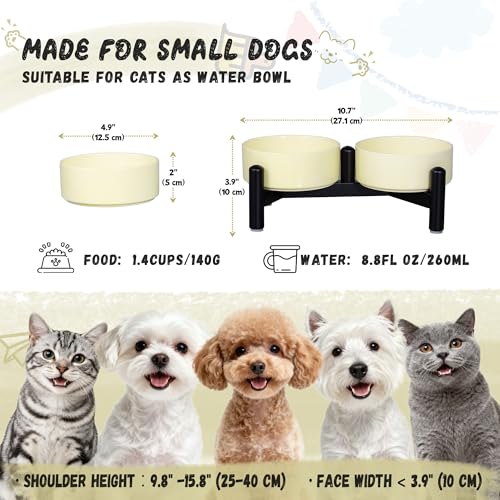 Elevated Ceramic Dog Bowl Set (Yellow / 1.4 Cups)