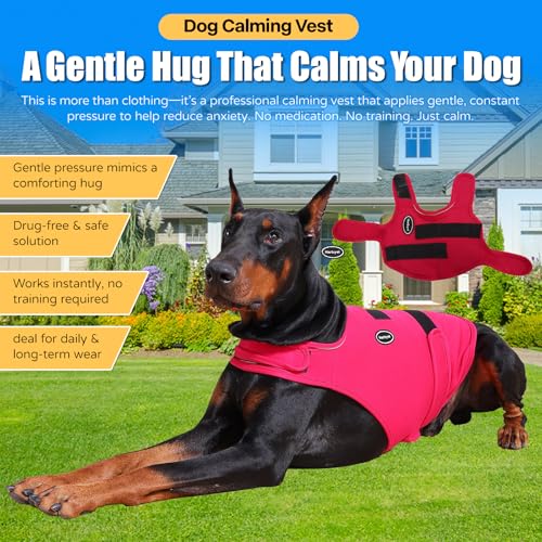 Dog Anxiety Vest (M-Chest(14.1"-22") / Rose)