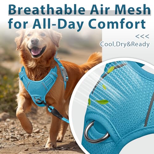 Dog Harness No Pull with ID Tag Pocket (Large(Chest:24.5-32.5") / Ocean Blue)