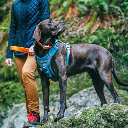Journey Air Dog Harness (Large / Coral)