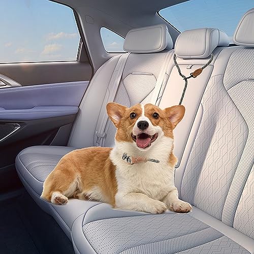 Hands Free Dog Leash (White / 7FT Hands Free)