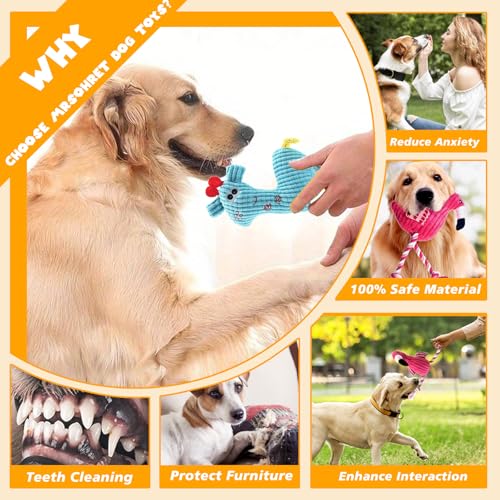 2 Pack Plush Dog Toys with Rope