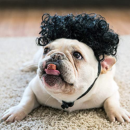 Dog Costume Cat Apparel Dog Toys Curly Braids Headgear Wigs Styling Cute Funny Pet Hair Accessories Decoration for Halloween (Black)