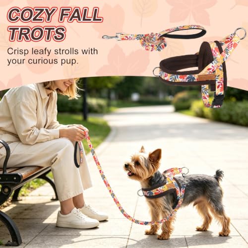 Small Dog Harness and Leash Set (Fall Leaves / S: Chest 17.5"-22")