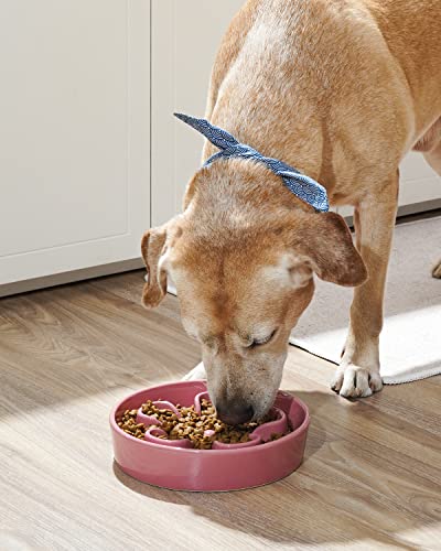 Slow Feeder Dog Bowls Ceramic (Pink Bloom / L-3 Cups)
