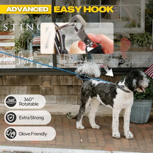 10 FT Heavy Duty Dog Leash (10 Feet (Pack of 1) / Blue)
