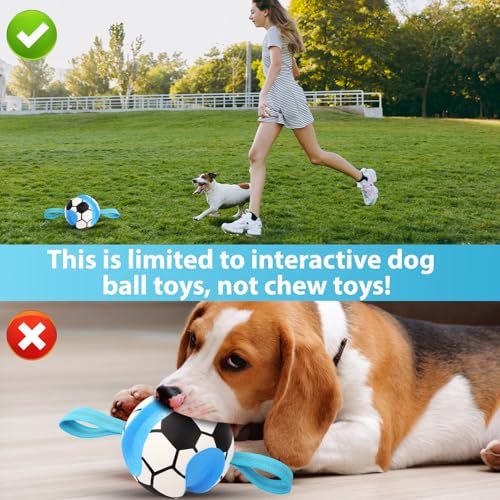 Dog Toys Balls (Blue White)