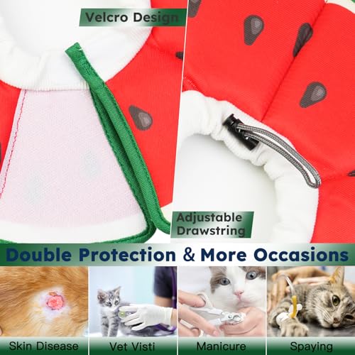 Cat Cone Collar Soft (Watermelon / Small)