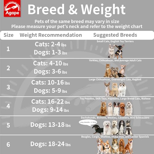 Soft Dog Cone for Small Dogs & Cats (Gray (Small Dogs Cone) / 3 (Neck:8"-10"))