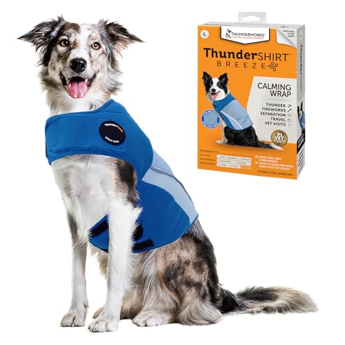 Breeze for Dogs Calming Anxiety Vest (Sky Blue / Large)