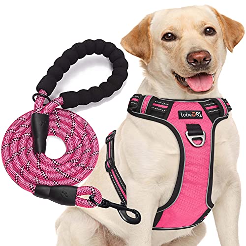 No Pull Dog Harness Adjustable Reflective Oxford Easy Control Medium Large Dog Harness with A Free Heavy Duty 5ft Dog Leash (Pink / Small)