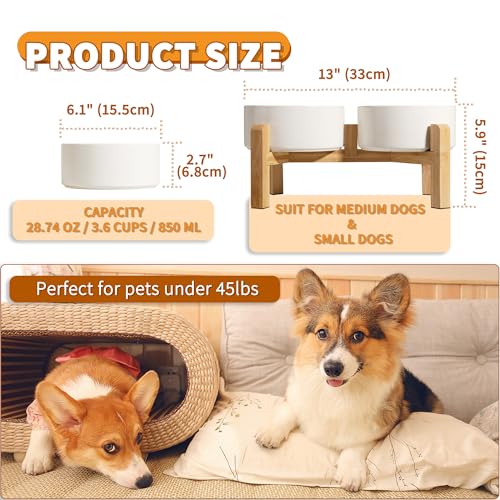 Elevated Ceramic Dog Bowl (White / Medium)
