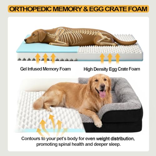 Orthopedic Dog Beds Large Sized Dog (Black / 36.0" L x 27.0" W x 6.7" Th)