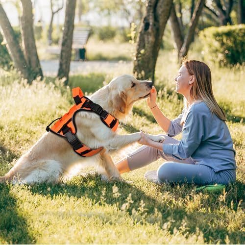 Orange Tactical Dog Harness for Small Dogs (Orange / Small: 15-30 lbs (Chest:20-26",Neck:15-18"))