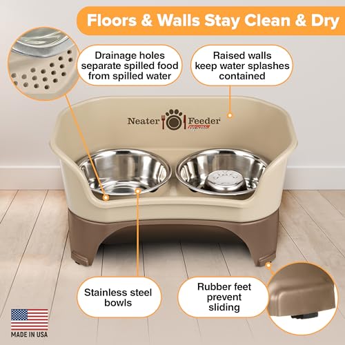 Express Model w (Medium to Large w/ Metal Slow Feed Bowl / Cappuccino)