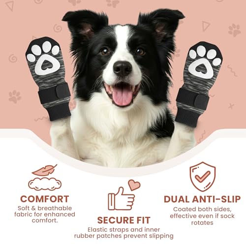 Anti Slip Dog Socks (Grey / XL)