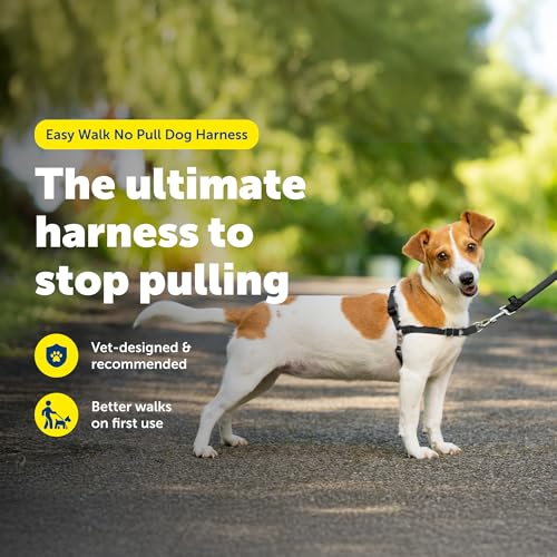 Easy Walk Harness (Small / Black/Silver)