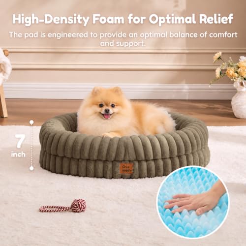 Orthopedic Dog Bed (Taupe / M(30*24*7))